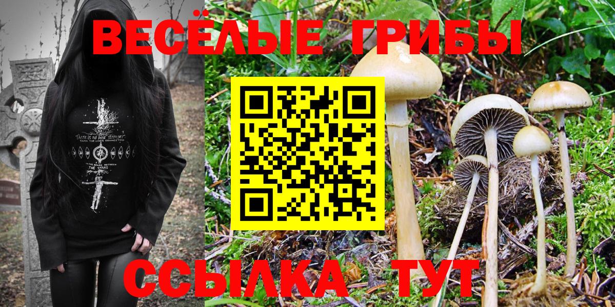 Нижневартовск  Галлюциногенные грибы GOLDEN TEACHER  Псилоцибиновые грибы прущие грибы  Вход с VPN 